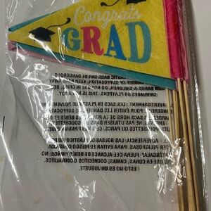Congrats Grad Party Flags - Multicolor